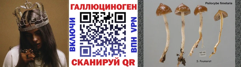 наркошоп  Куровское  Галлюциногенные грибы MAGIC MUSHROOMS 